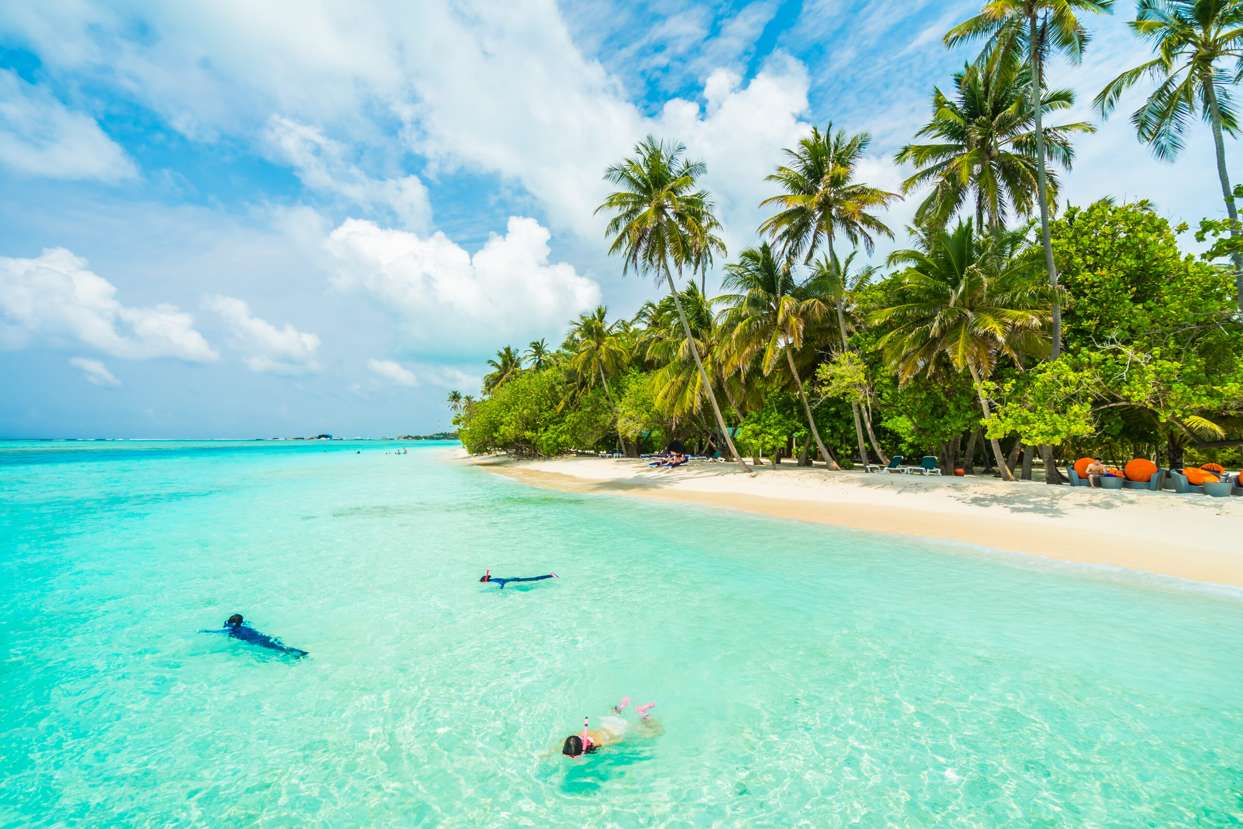 Beautiful tropical Maldives island with beach , sea , and coconut palm tree on blue sky for nature holiday vacation background concept -Boost up color Processing