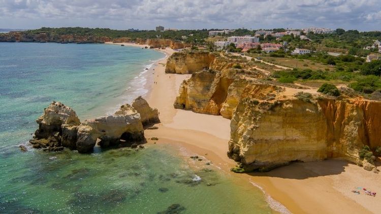 medium_20160615_7607